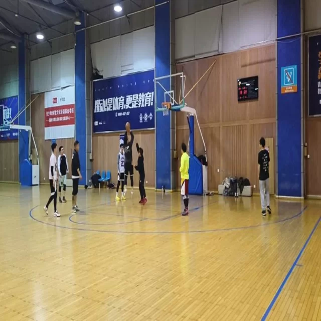 电竞季后赛阵容战术演变深度解析